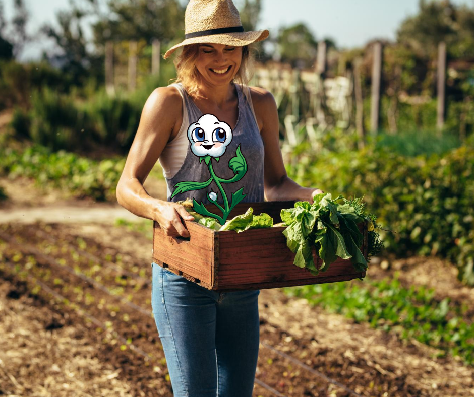 victory garden